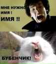 Лінуся Тимощенко фотография #11 (источник - https://vk.com/id169215347)