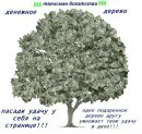 Олег Дільний фотография #33 (источник - https://vk.com/id168054404)