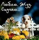Ірина Черепаха фотография #23 (источник - https://vk.com/id65247090)