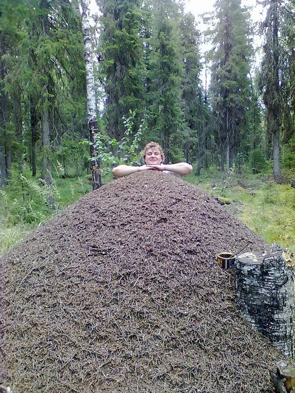Максим Зоненко фотография #20