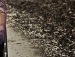 Ігор Бечка фотография #33 (источник - https://vk.com/id138344501)