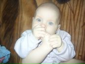 Александр Тарасов фотография #34 (источник - https://vk.com/id80823731)