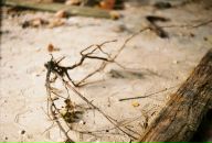 Фотография Лутай Полины