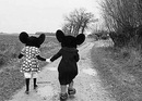 Фотография Алексеенко Евгении