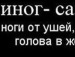  фотография #10