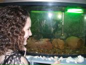 Фотография Фролухиной Ольги