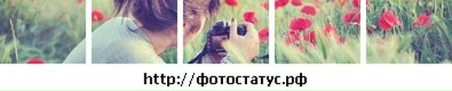 Вікторія Свирид фотография #10 (источник - https://vk.com/id89276452)