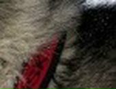 Валерія Мартич фотография #23 (источник - https://vk.com/id95543397)