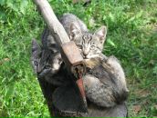 Фотография Буркова Сергея