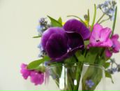 Фотография Потешкиной Анны