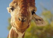 Фотография Броницкой Ольги