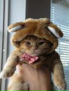 Еріка Данкет фотография #15 (источник - https://vk.com/id162046210)