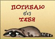 Софія Ільчишин фотография #26 (источник - https://vk.com/id71587395)