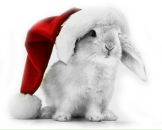 Фотография Архиповой Алины