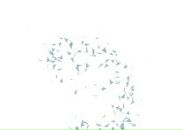 Фотография Алилуи Алика