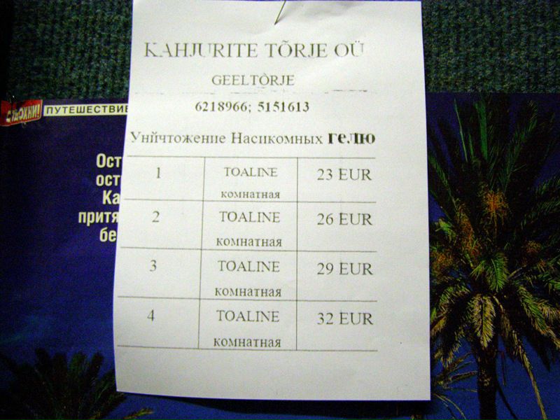 Синнэ Ёж фото №16