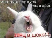 Світлана Блашко фотография #46 (источник - https://vk.com/id50099462)