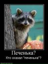 Фотография Соколовой Виктории