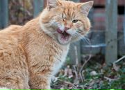 Фотография Жабкиной Ольги