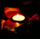 Фотография Никифоровой Евгении