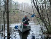 Фотография Morev Denis