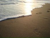 Фотография Косоевой Лены