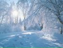 Інна Бондар фотография #32 (источник - https://vk.com/id161275647)