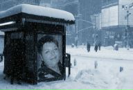 Фотография Абрамовой Елены