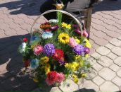 Ліля Когут фотография #19 (источник - https://vk.com/id71418373)