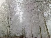 Андрей Камаев фотография #6 (источник - https://vk.com/id2346810)