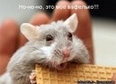 Фотография Онегина Евгения