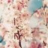 Людмила Проців фотография #38 (источник - https://vk.com/id162626113)