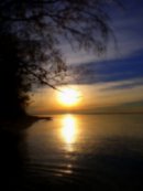 Plusha Кислая фотография #1