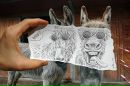 Евгений Ногаев фотография #36 (источник - https://vk.com/id17940489)