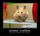 Фотография Соломонова Рони