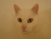 Фотография Бодиной Ирины