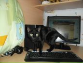 Фотография Мишиной Натальи