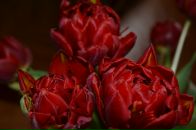 Фотография Bakery Feller