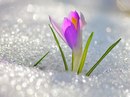 Люда Садохіна фотография #6 (источник - https://vk.com/id166615841)