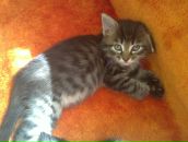 Фотография Ягодкиной Елены