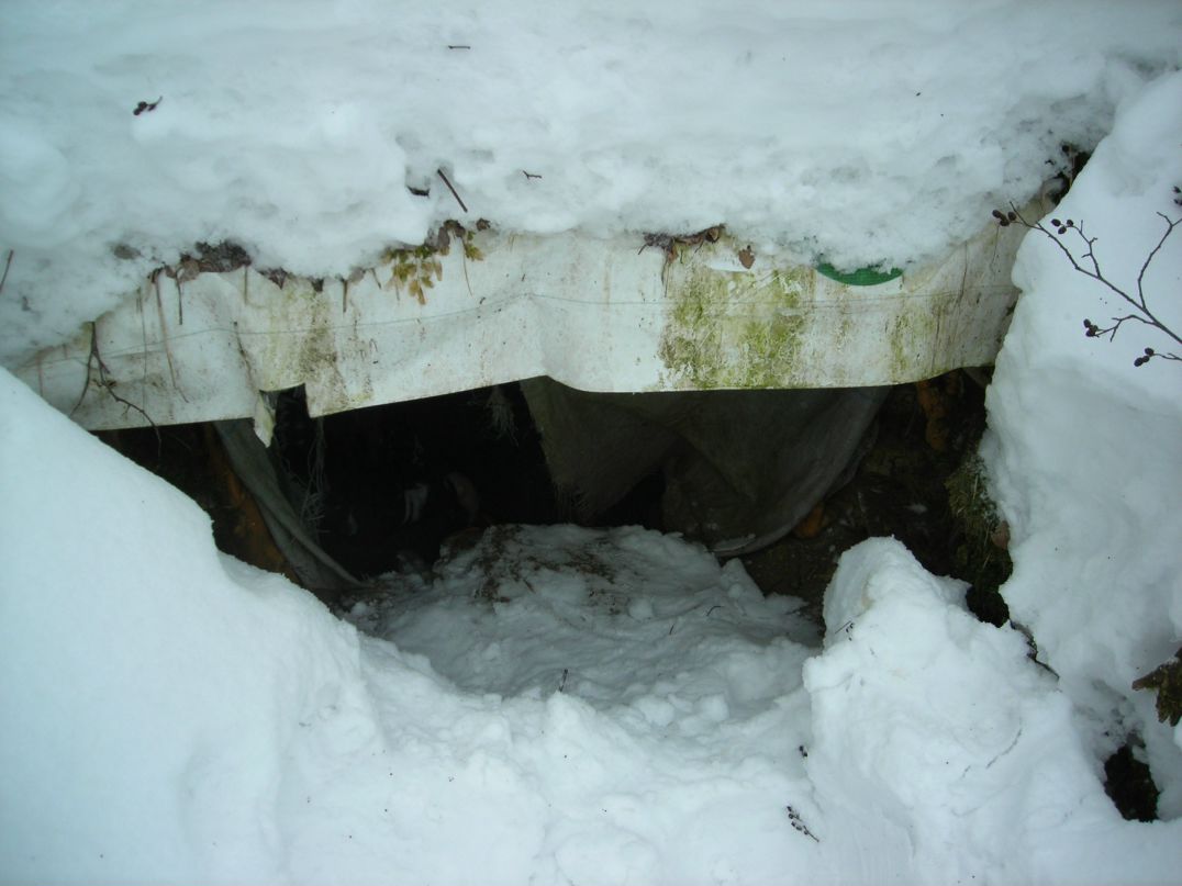 Сергей Мастер фотография #12