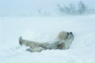 Олександр Лісовий фотография #50 (источник - https://vk.com/id22697210)