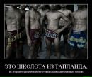 Дмитрий Одинцов фотография #23 (источник - https://vk.com/id90507752)