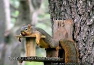 Юлія Куликовська фотография #7 (источник - https://vk.com/id99714054)