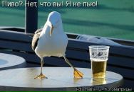 Фотография Кольненкова Александра