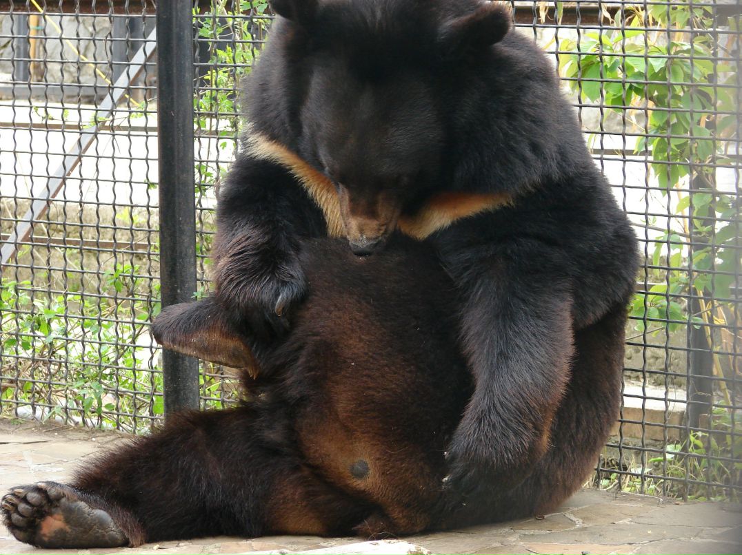 Константин Черников фотография #10