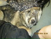 Фотография Зыриной Елены