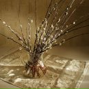 Фотография Григорьевой Натальи