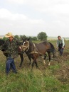 Віталій Пасека фотография #36 (источник - https://vk.com/id157949543)