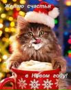 Фотография Васильевой Татьяны